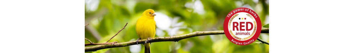 Productos y suplementos alimenticios naturales para pájaros.
