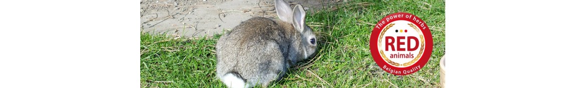 Natural food products and supplements for rabbits