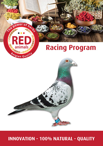 red-animals-racing-program.jpg